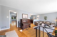 412 Neale Court, Silver Spring, MD 20901