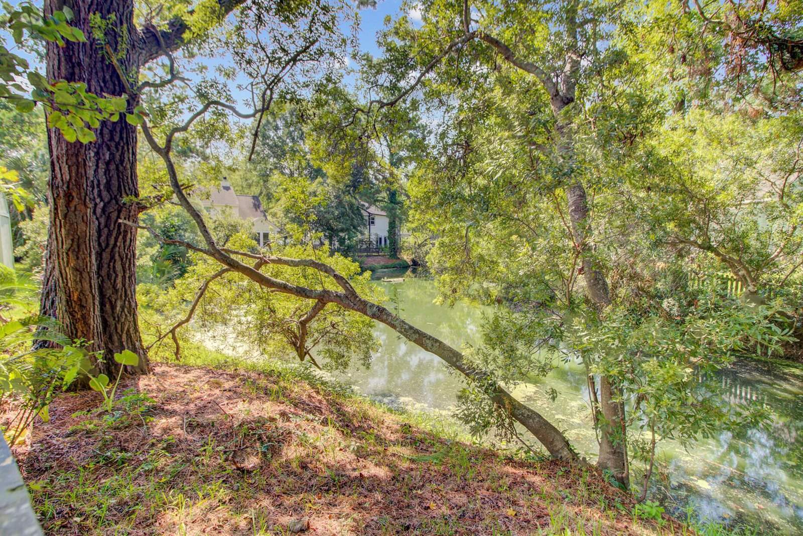 1412 Oaklanding Road, Mount Pleasant, SC 29464