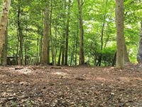 6916 Fox Mill Court, Gloucester County, VA 23061