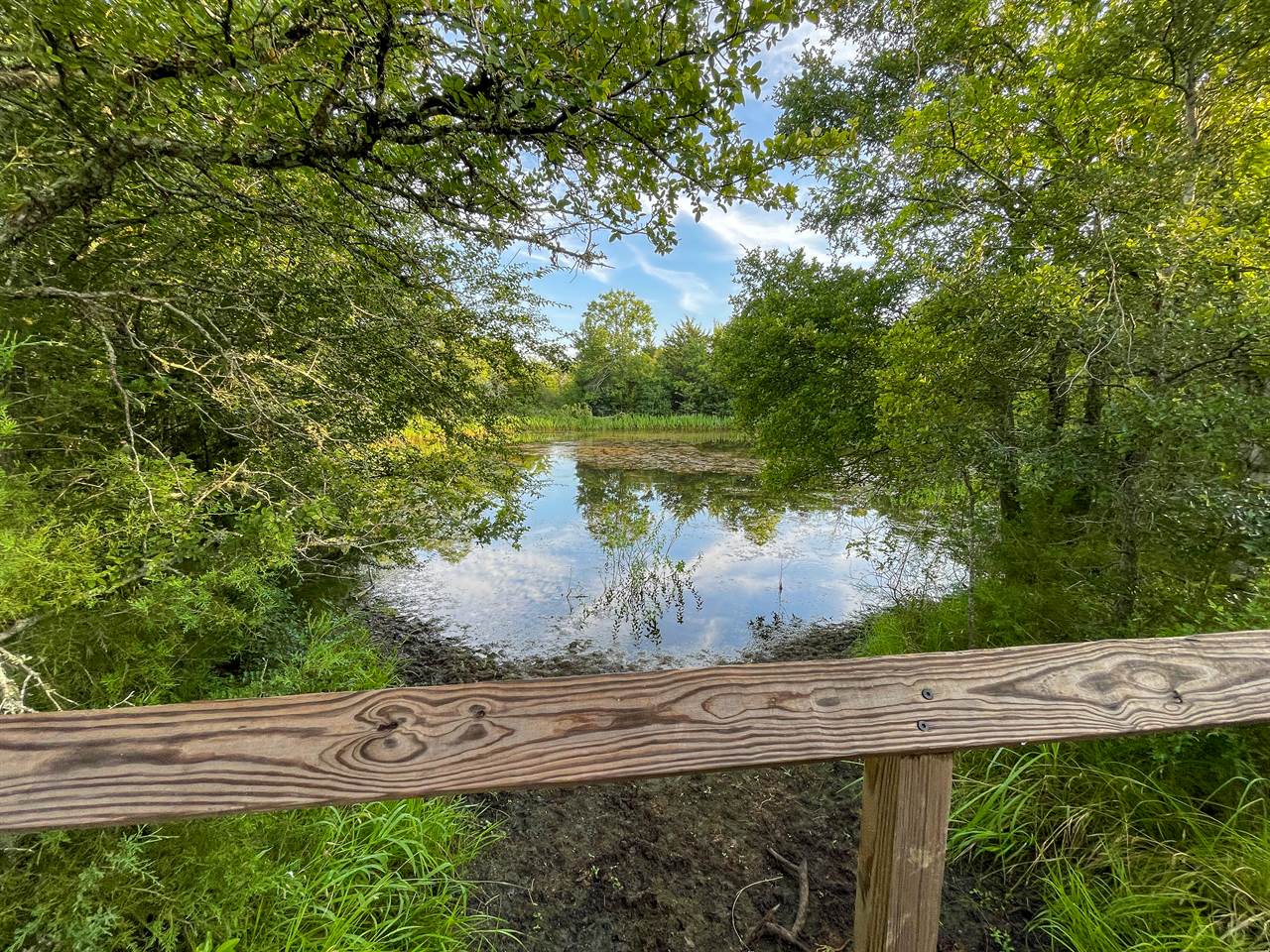 11624 FM 2549, Bryan, TX 77808