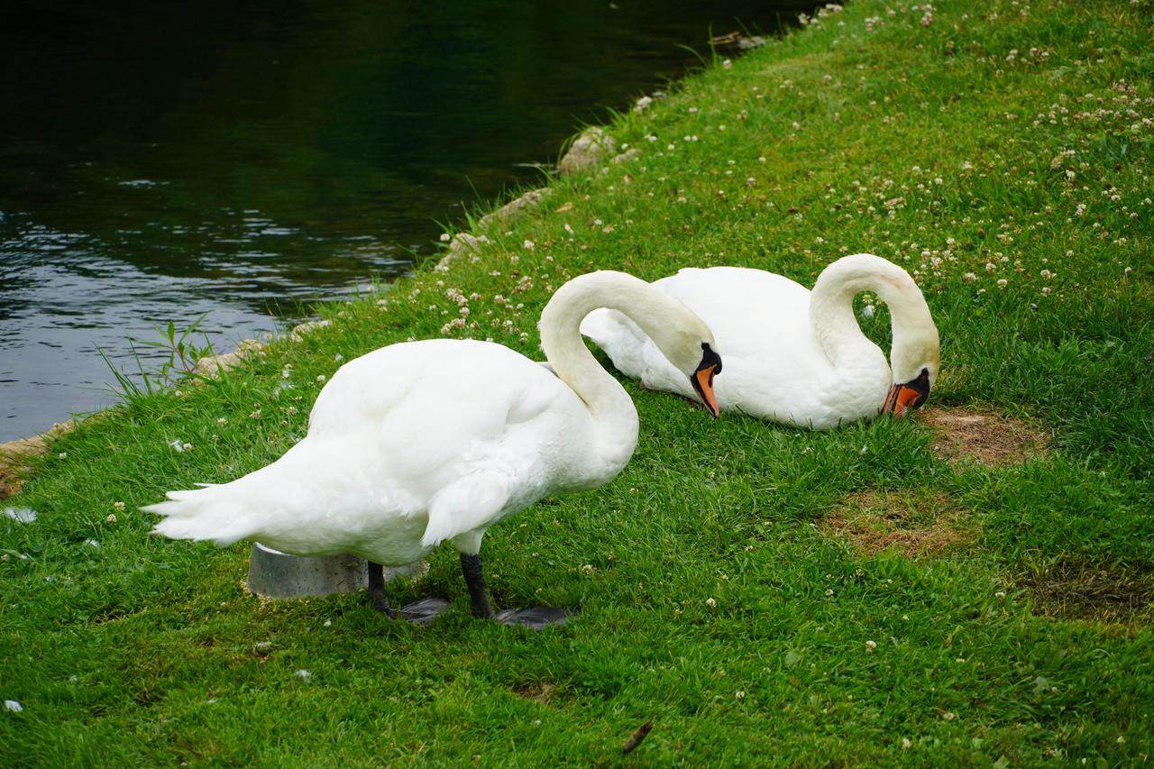 4915 Silver Morning LANE, La Crosse, WI 54601