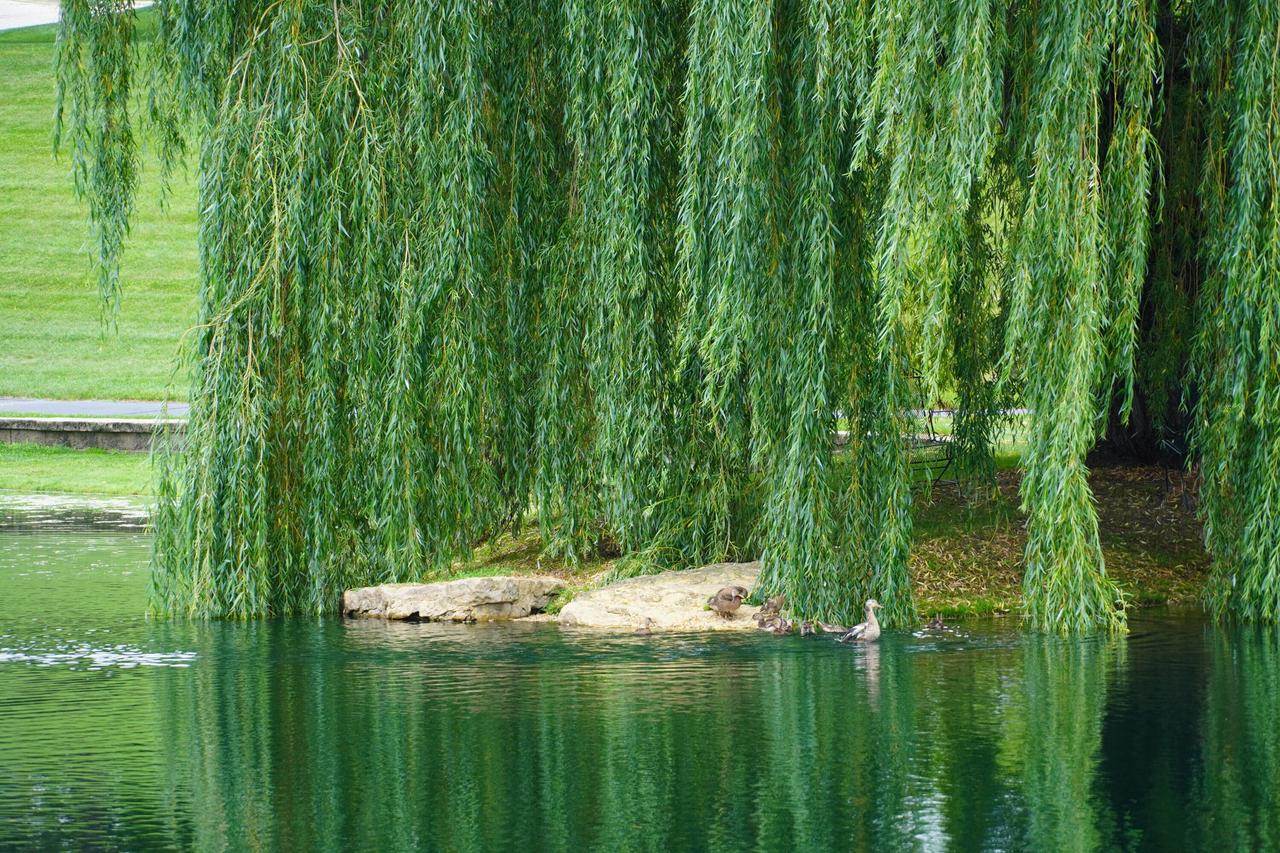 4915 Silver Morning LANE, La Crosse, WI 54601