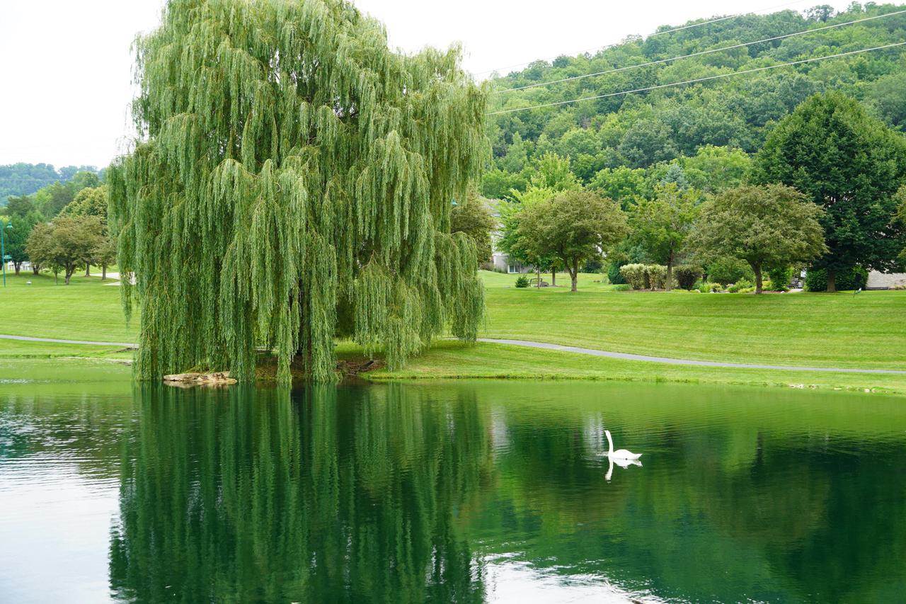 4915 Silver Morning LANE, La Crosse, WI 54601