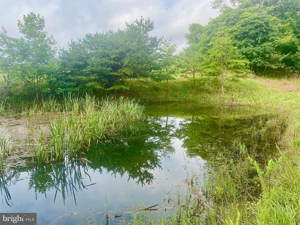 LOT 62 Cressida Drive, Hedgesville, WV 25427