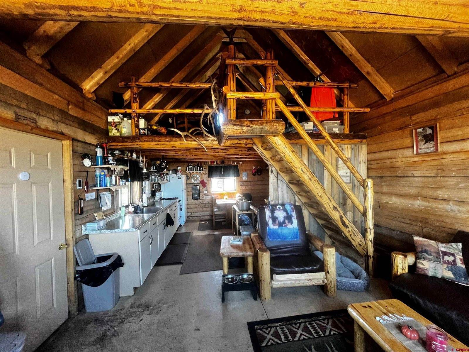 1165 TIMBER RIDGE Road, Montrose, CO 81401