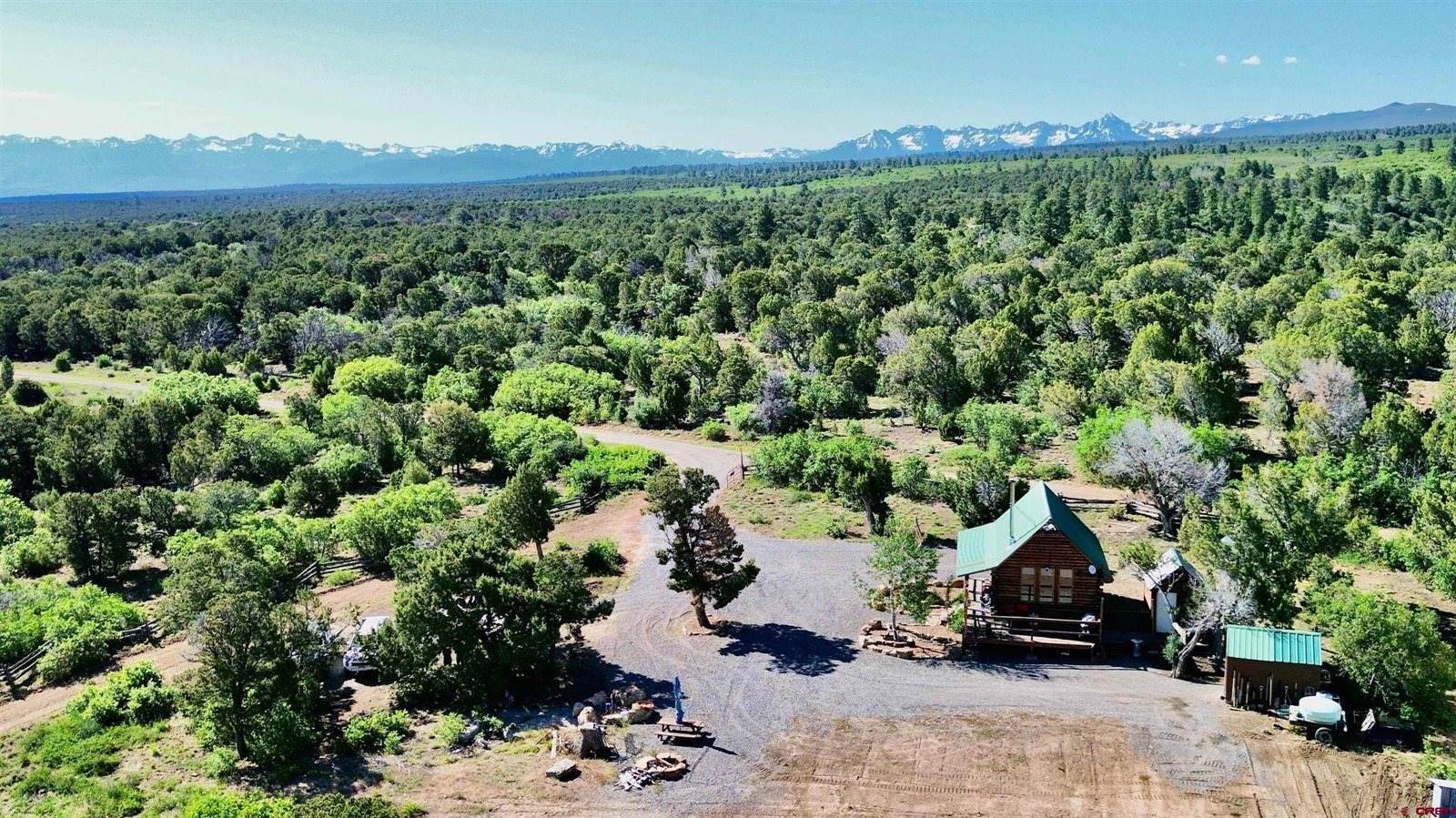 1165 TIMBER RIDGE Road, Montrose, CO 81401