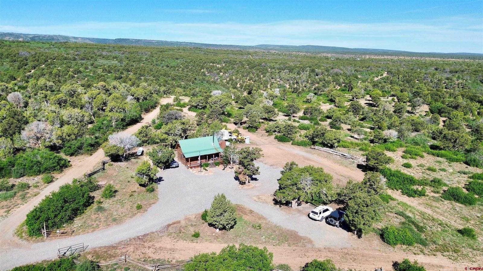 1165 TIMBER RIDGE Road, Montrose, CO 81401