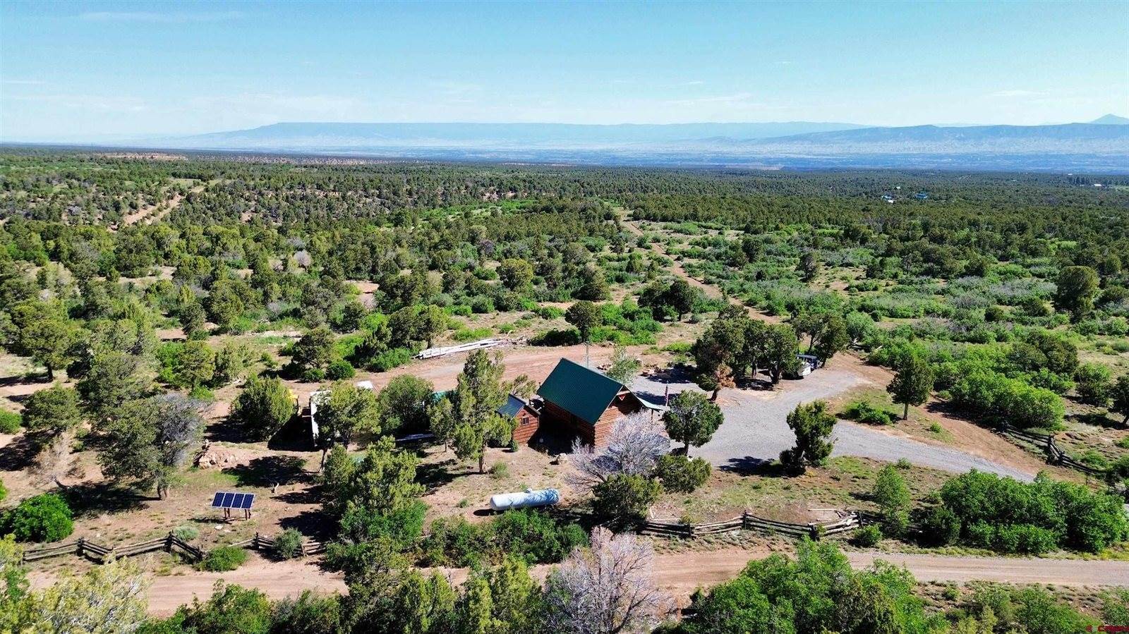 1165 TIMBER RIDGE Road, Montrose, CO 81401