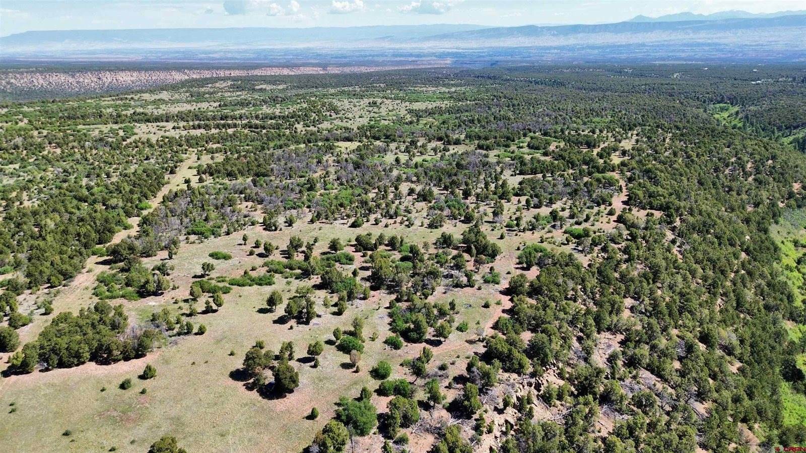 1165 TIMBER RIDGE Road, Montrose, CO 81401