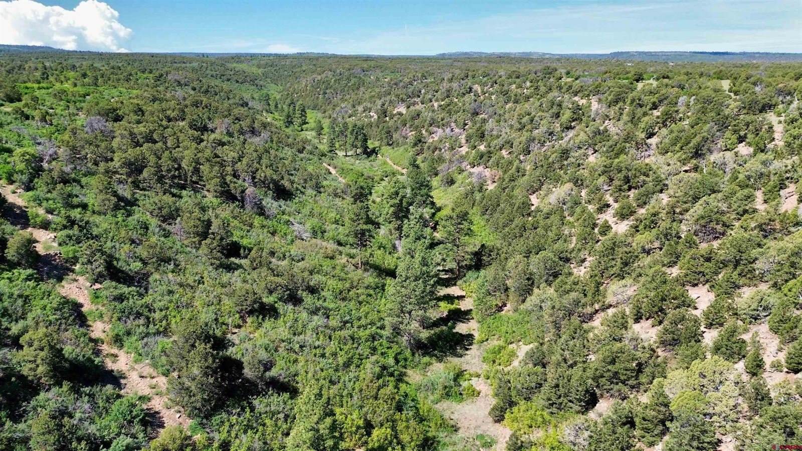 1165 TIMBER RIDGE Road, Montrose, CO 81401