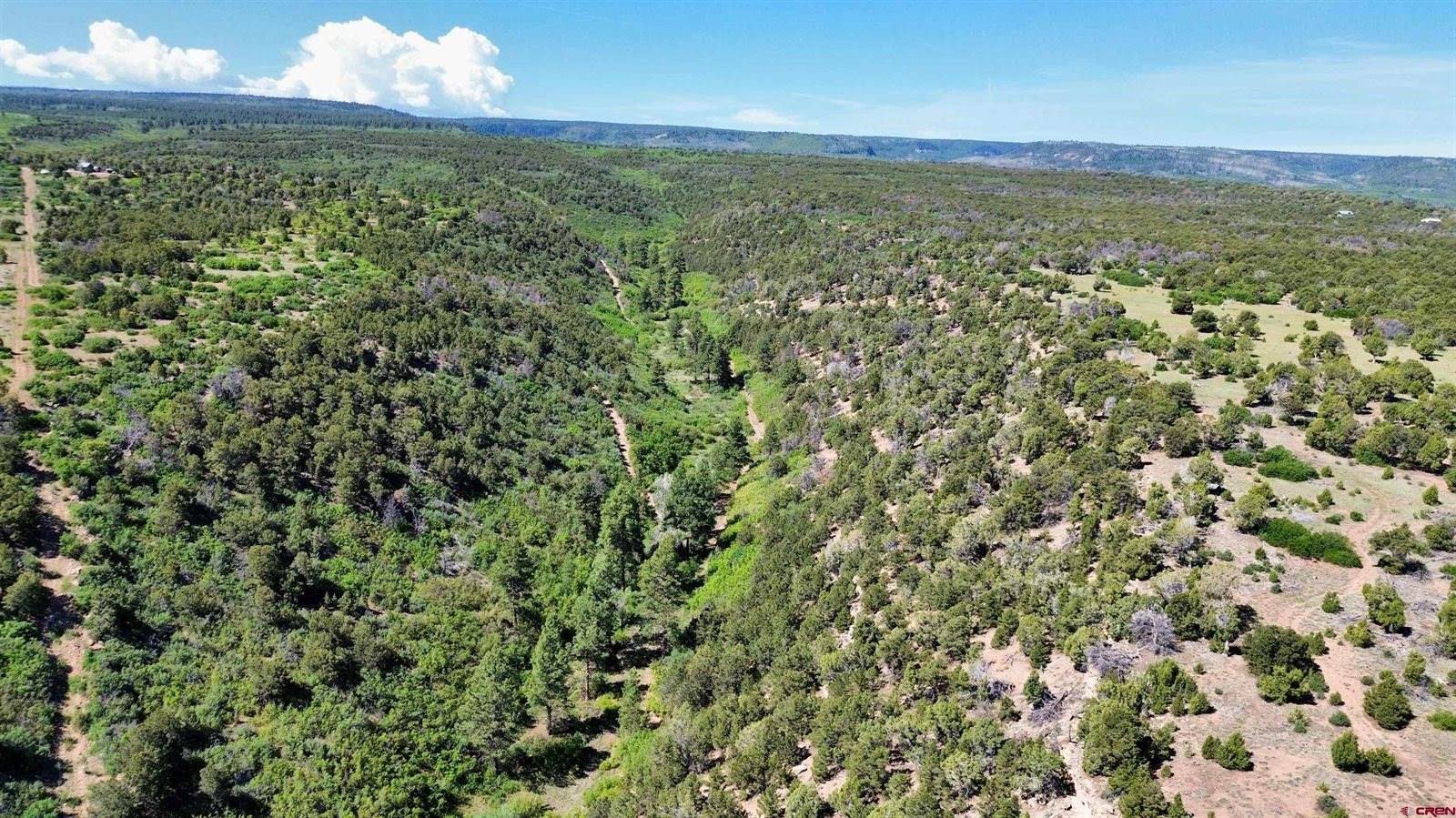 1165 TIMBER RIDGE Road, Montrose, CO 81401