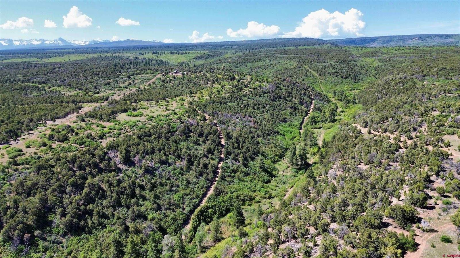 1165 TIMBER RIDGE Road, Montrose, CO 81401