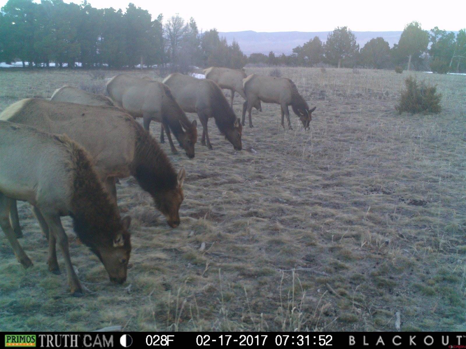 1165 TIMBER RIDGE Road, Montrose, CO 81401