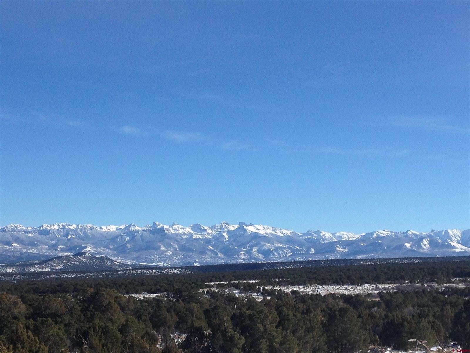 1165 TIMBER RIDGE Road, Montrose, CO 81401