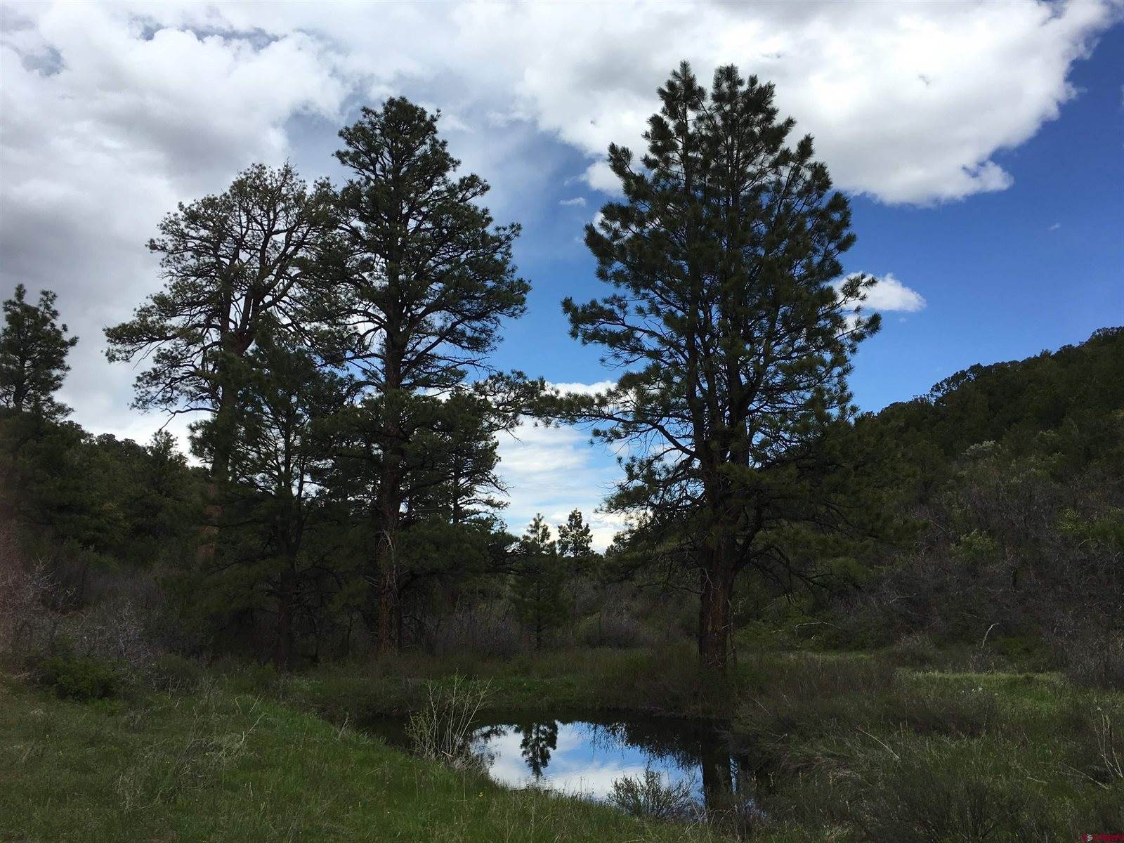 1165 TIMBER RIDGE Road, Montrose, CO 81401