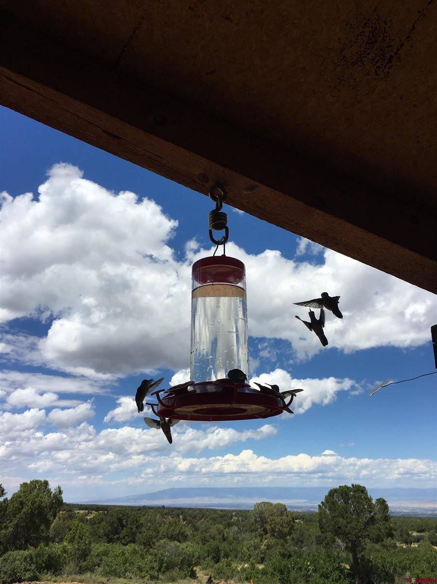 1165 TIMBER RIDGE Road, Montrose, CO 81401