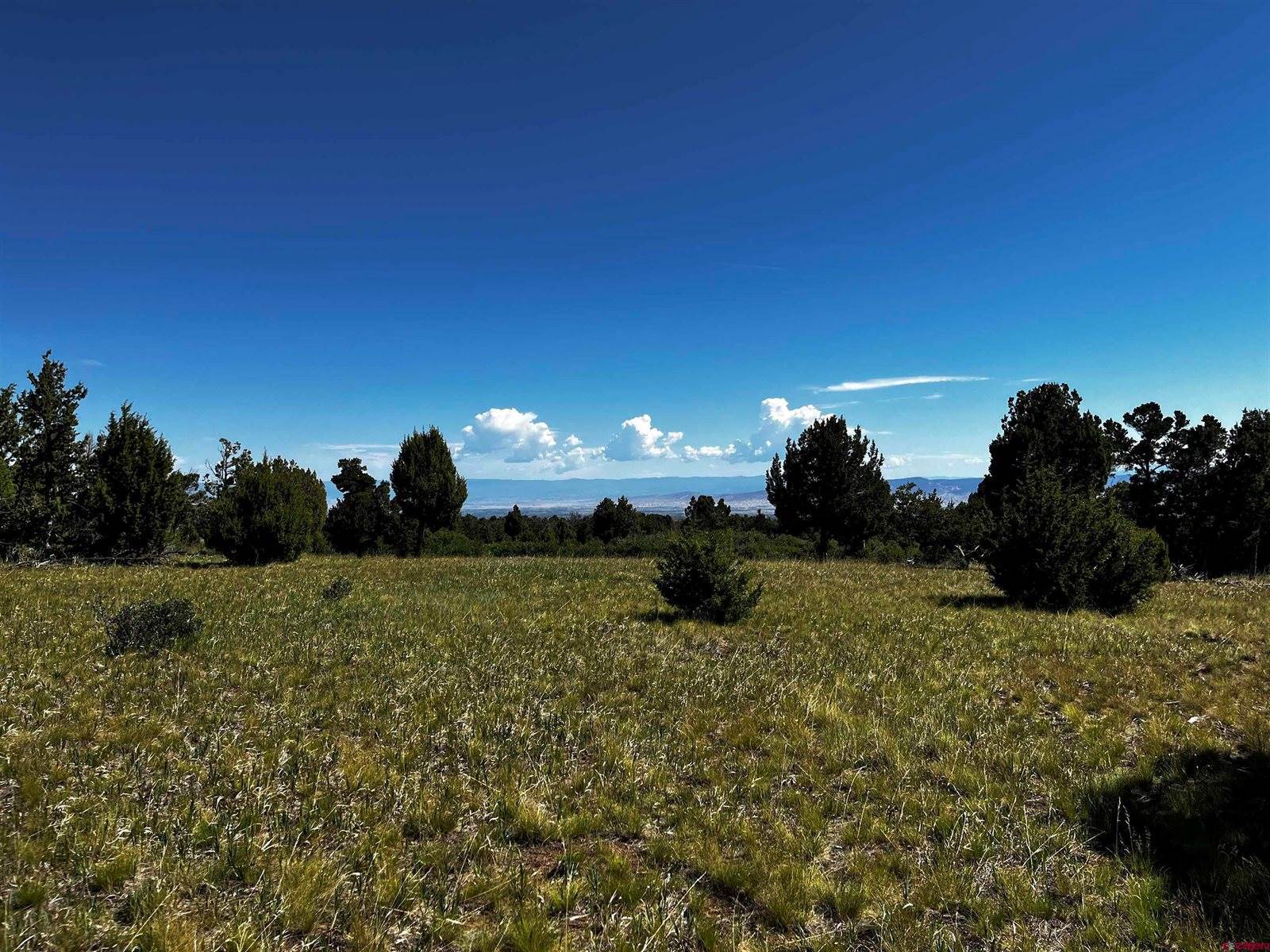 1165 TIMBER RIDGE Road, Montrose, CO 81401