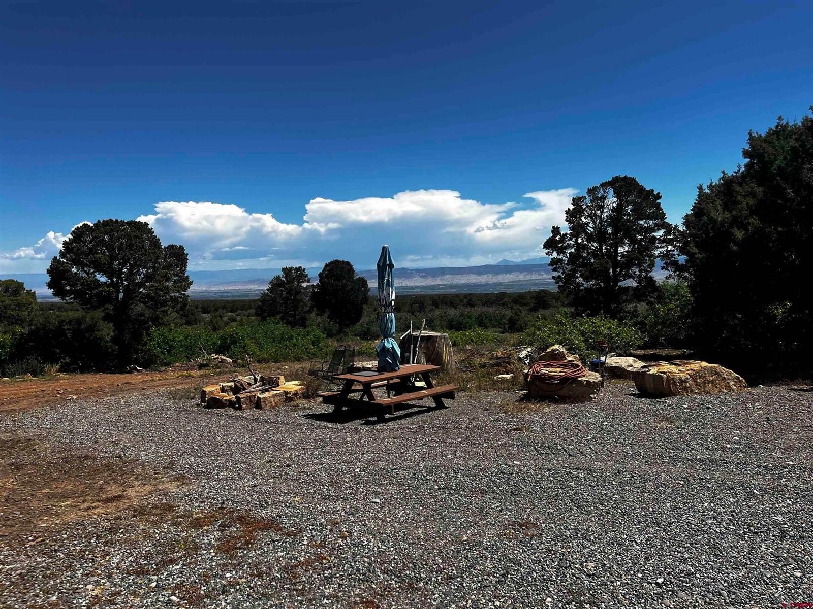 1165 TIMBER RIDGE Road, Montrose, CO 81401