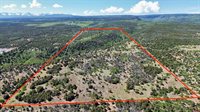 1165 TIMBER RIDGE Road, Montrose, CO 81401