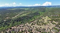 1165 TIMBER RIDGE Road, Montrose, CO 81401