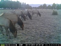 1165 TIMBER RIDGE Road, Montrose, CO 81401