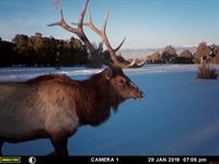 1165 TIMBER RIDGE Road, Montrose, CO 81401