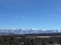 1165 TIMBER RIDGE Road, Montrose, CO 81401