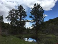 1165 TIMBER RIDGE Road, Montrose, CO 81401