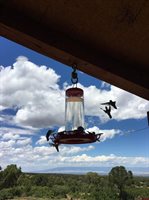 1165 TIMBER RIDGE Road, Montrose, CO 81401