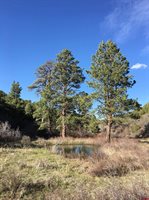 1165 TIMBER RIDGE Road, Montrose, CO 81401