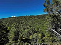 1165 TIMBER RIDGE Road, Montrose, CO 81401