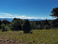 1165 TIMBER RIDGE Road, Montrose, CO 81401