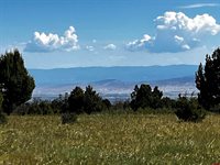 1165 TIMBER RIDGE Road, Montrose, CO 81401