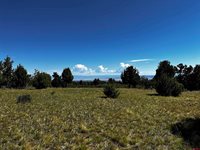 1165 TIMBER RIDGE Road, Montrose, CO 81401