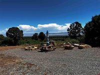 1165 TIMBER RIDGE Road, Montrose, CO 81401