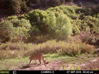 1165 TIMBER RIDGE Road, Montrose, CO 81401