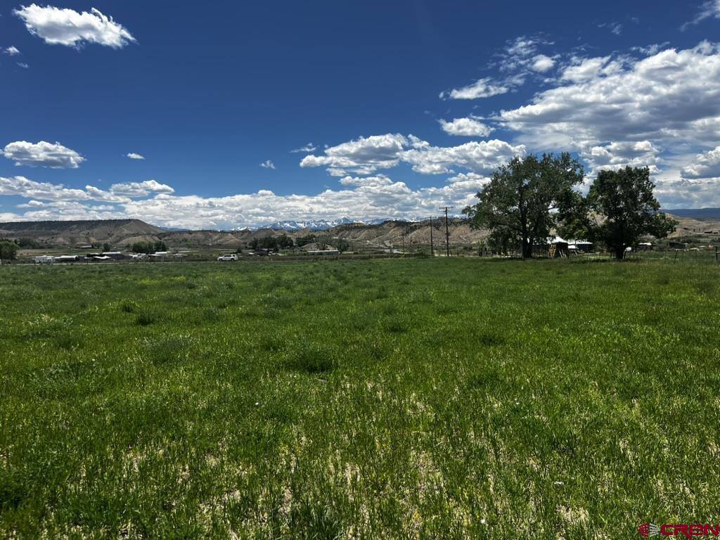 TBD Racine Road, Montrose, CO 81401