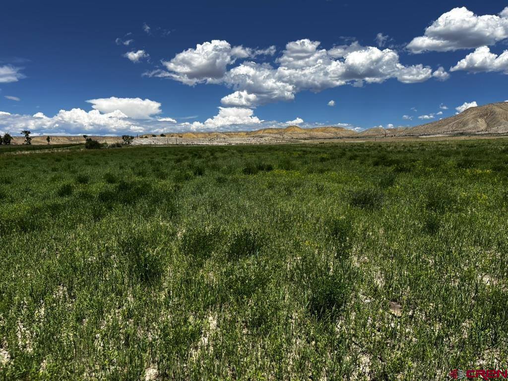 TBD Racine Road, Montrose, CO 81401