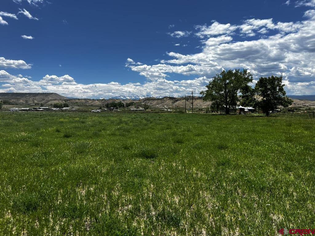 TBD Racine Road, Montrose, CO 81401