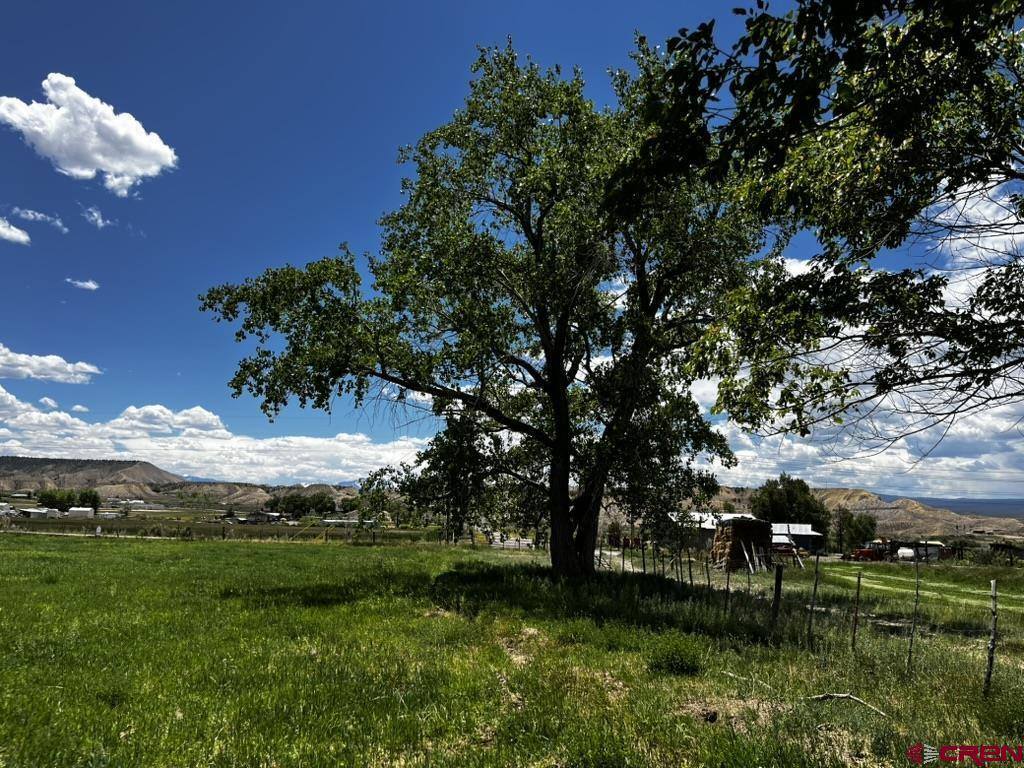 TBD Racine Road, Montrose, CO 81401