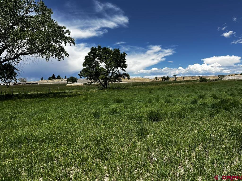 TBD Racine Road, Montrose, CO 81401