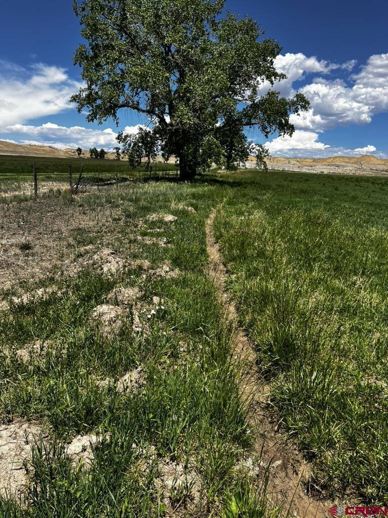 TBD Racine Road, Montrose, CO 81401