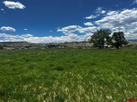 TBD Racine Road, Montrose, CO 81401