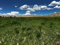 TBD Racine Road, Montrose, CO 81401