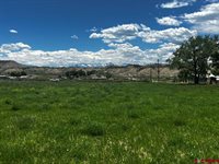 TBD Racine Road, Montrose, CO 81401