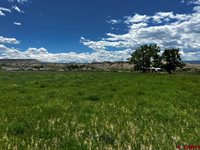 TBD Racine Road, Montrose, CO 81401