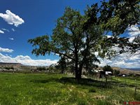 TBD Racine Road, Montrose, CO 81401