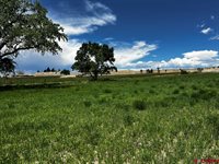 TBD Racine Road, Montrose, CO 81401