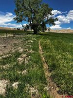 TBD Racine Road, Montrose, CO 81401