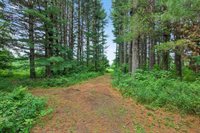 810 Mckeel Road, Babcock, WI 54413